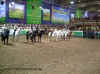 Abschiedsschau_Halle_25_67.JPG (78198 Byte)